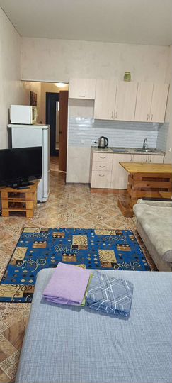 1-к. квартира, 26,1 м², 19/19 эт.