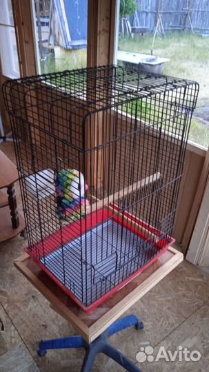 Клетка для крупных птиц