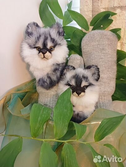 Звероварежки волк