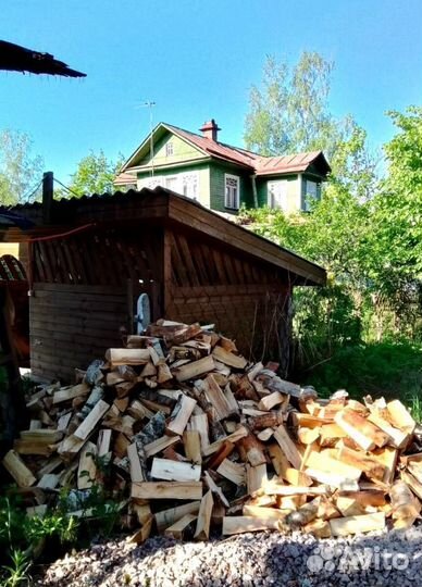 Дрова Береза