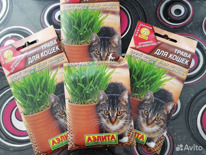 Травка для кошек