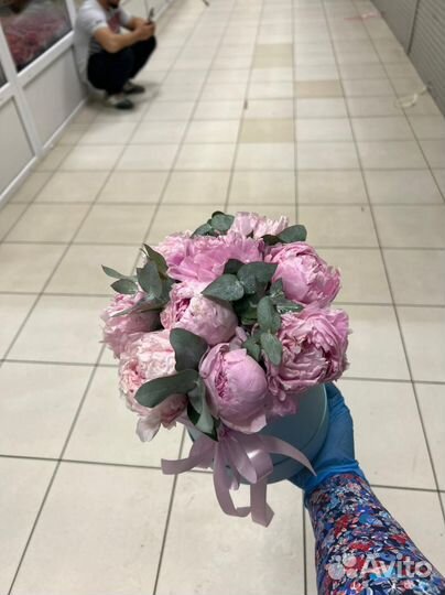 Пионы 15/21/51/101 Доставка пионов