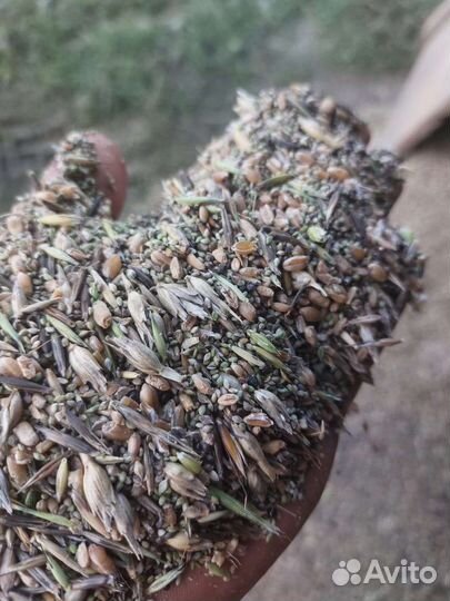 Зерноотходы