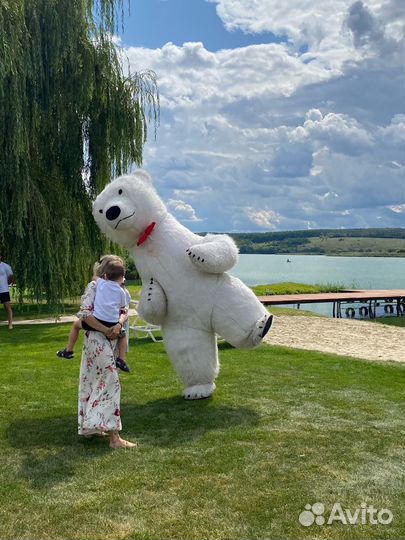 Поздравление Мишка/Чебурашка/ Панда /Аниматоры