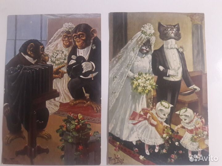 Старинные открытки с животными Артура Тиле