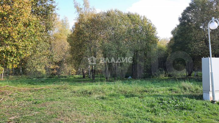 Участок 9,7 сот. (СНТ, ДНП)