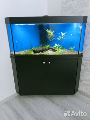 Аквариум 160 литров