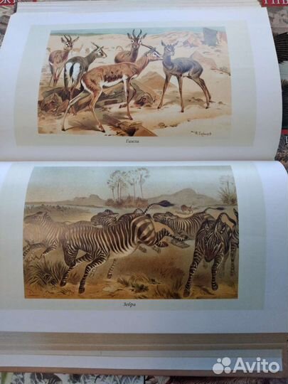 Коллекция Книг 24 шт