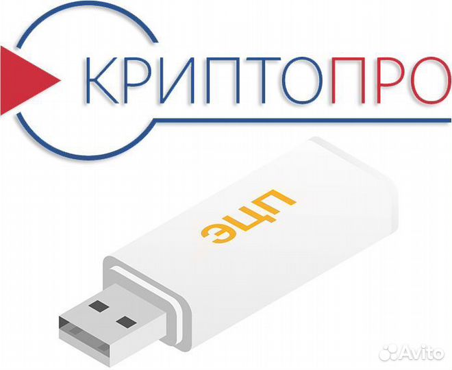 Установка криптопро эцп, фнс, торги, закупки