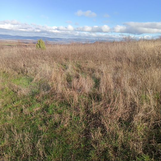 Участок 60 сот. (СНТ, ДНП)