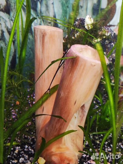 Аквариум 150 л. Плюс допы. Красивые рыбки