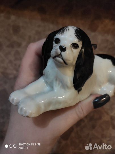 Собака Луначарского лфз