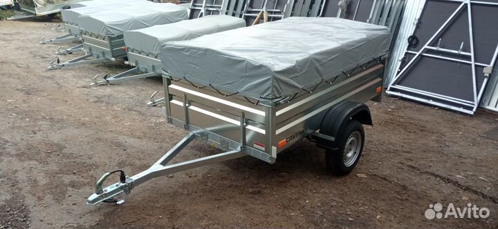 Прицеп Спутник Эксперт 2013-48 цинк