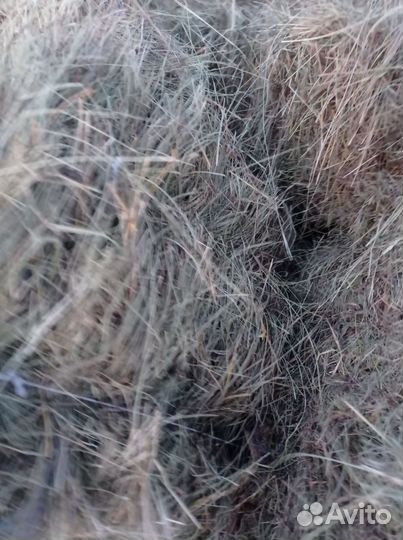 Сено луговое в тюках