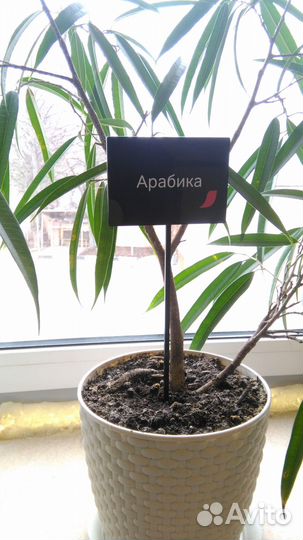 Деревянные таблички с логотипом бренда