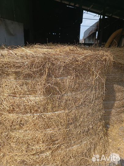 Сено люцерны в рулонах большой