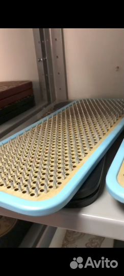 Доска с гвоздями и курсом Гвоздетерапевта садху