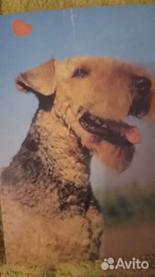 Открытки СССР