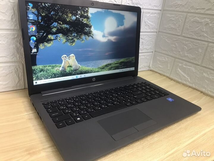 Ноутбук hp шустрый новый для работы