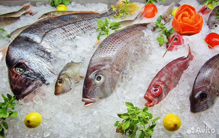 Купите готовый бизнес – рыбный магазин