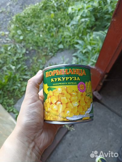 Горошек кукуруза икра кабачковая огурцы