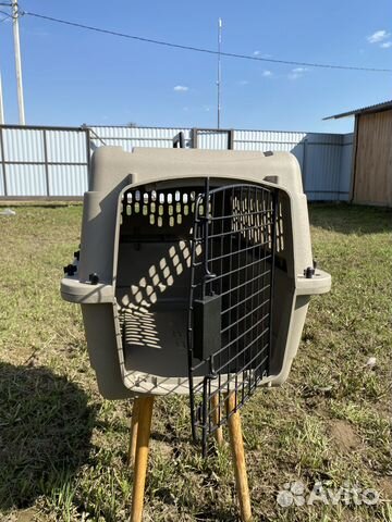 Переноска для собак