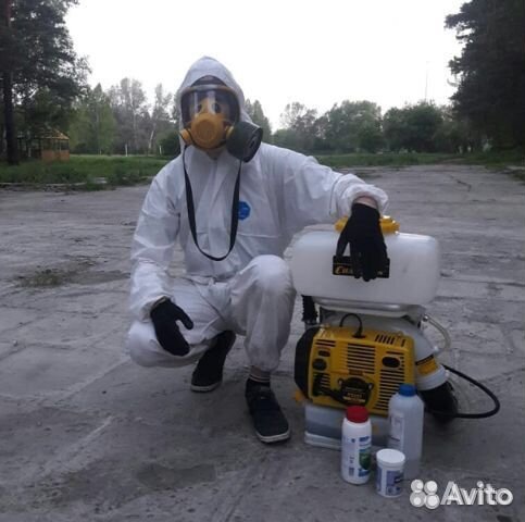 Уничтожение клещей и тараканов