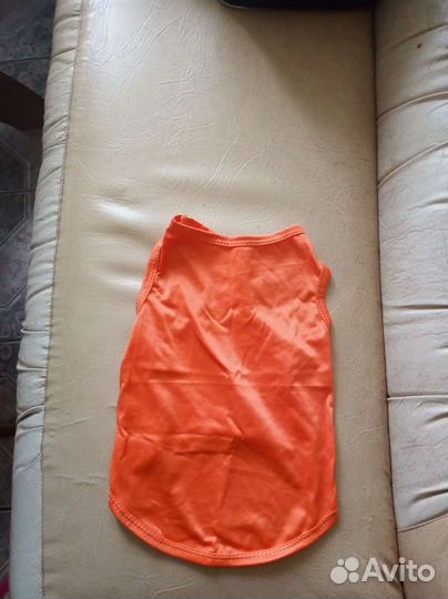Одежда для маленьких собак
