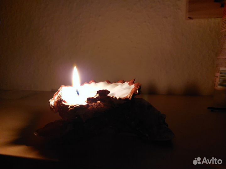 Свеча из соевого воска в устрице