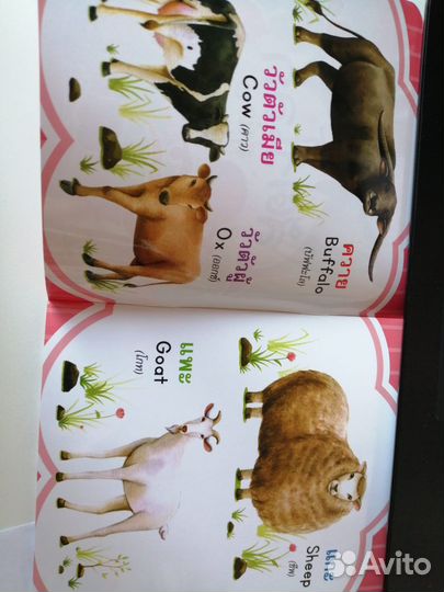 Детская развивающая книга на английском языке