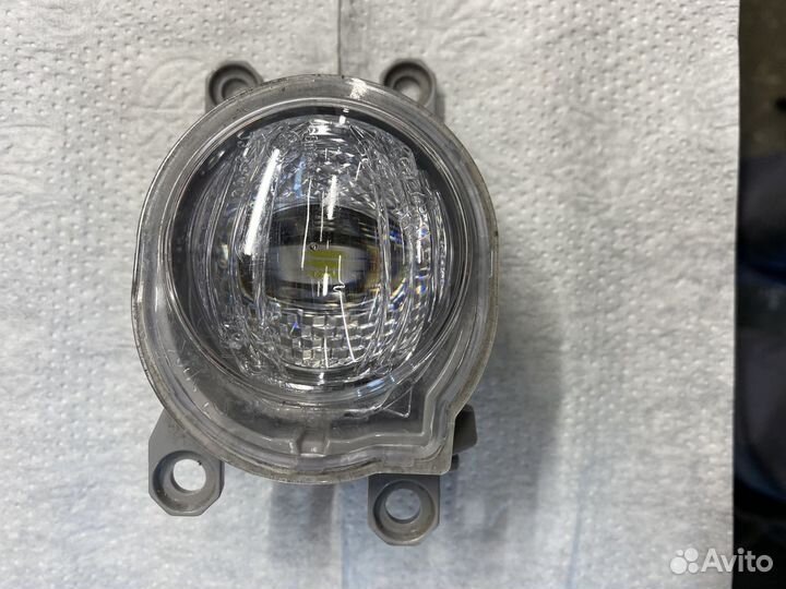 Противотуманка