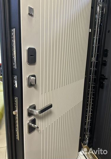 Дверь входная Иссида