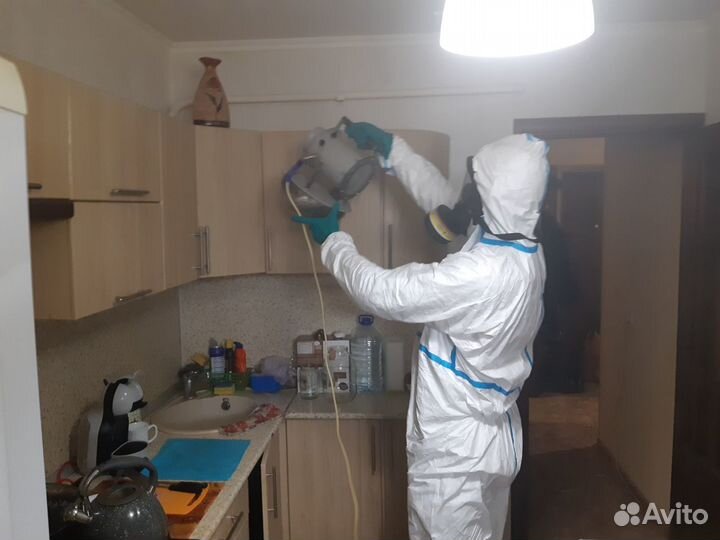 Обработка клопов тараканов комаров тли ос блох