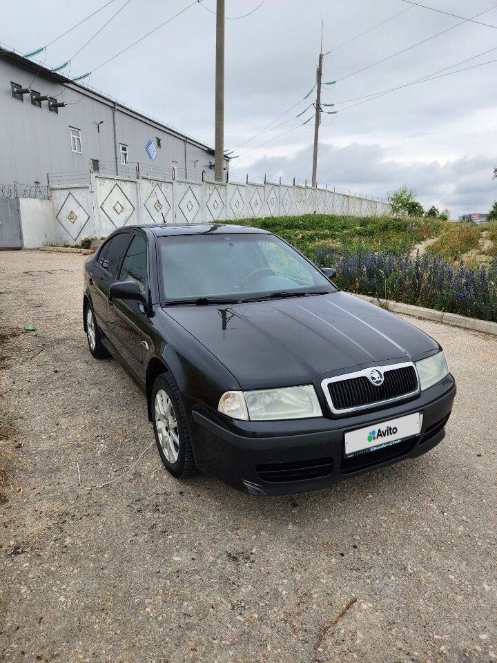 Skoda Octavia: фото владельца