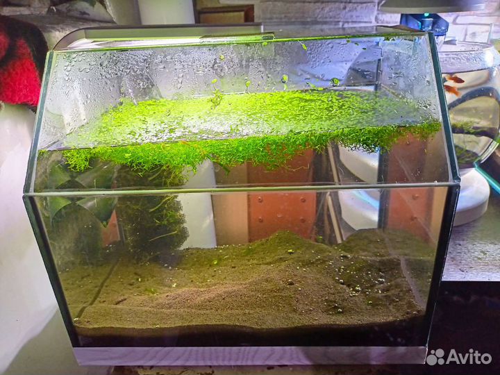 Аквариумы б/у 3 шт