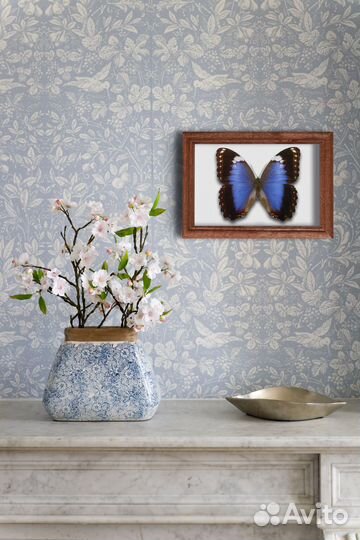 Бабочки в рамке