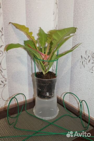 Опора для цветов