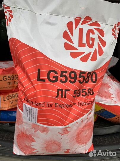 Семена подсолнечника Лимогрейн 59580 