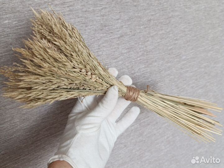 Букетик из сухоцветов/сухоцветы