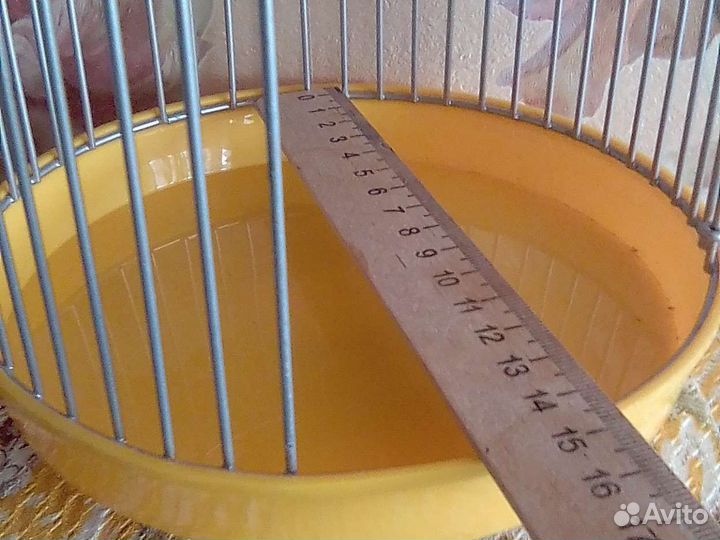 Переноска для грызуна