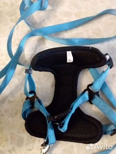 Шлейка для собаки