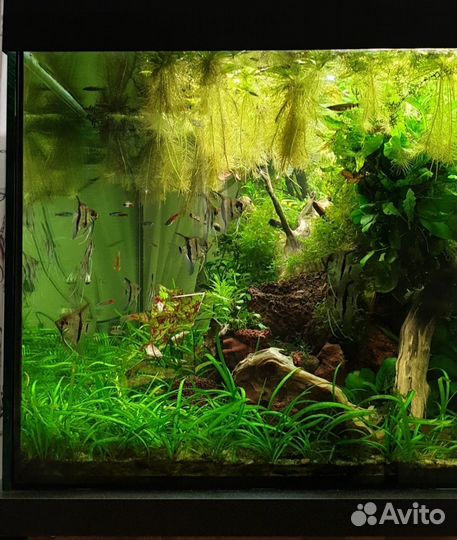 Аквариум