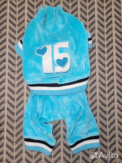 Одежда для маленькой собачки (комбинезон)