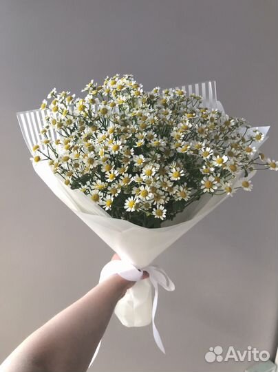 Ромашки букет Цветы с доставкой