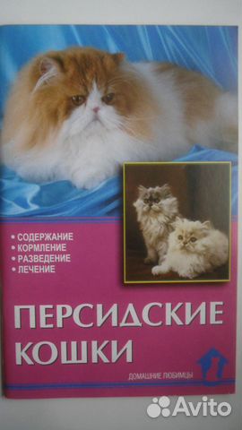 Кошки персидские объявление продам