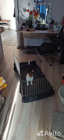 Вольер для маленьких собак