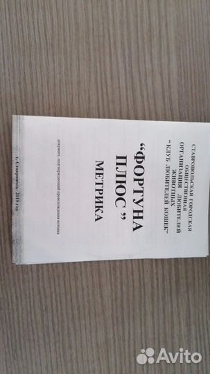 Шотландский кот вязка
