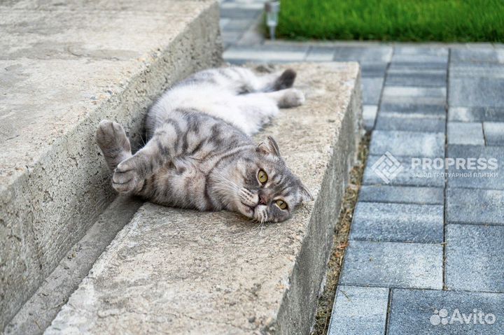 Тротуарная плитка с доставкой