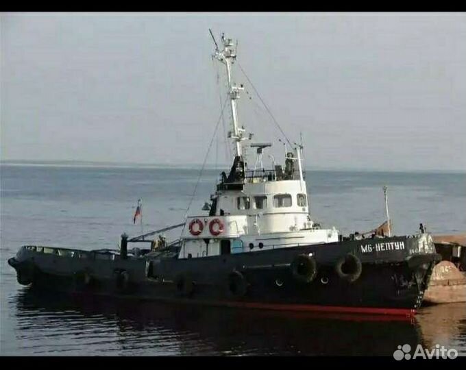 Винт грибной