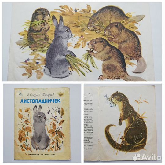 Детские книги СССР о природе